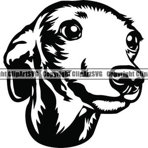 Levriero #17 Zampe Felici Cane Razza Pedigree Canino Purosangue K-9 Animale Domestico Italiano Whippet Logo. SVG. PNG Clipart Vector Cricut Taglio Taglio