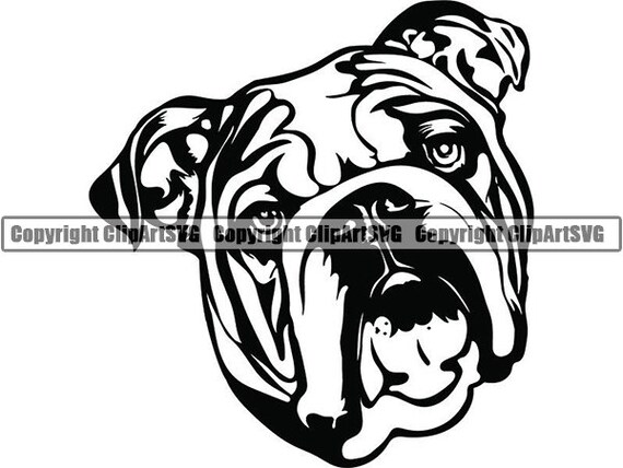 Download English Bulldog 5 American Mascot Head Pedigree Dog Breed K 9 Etsy