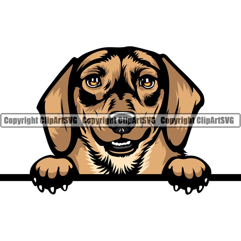 Dachshund Dog Breed Peeking Pup Puppy Long Haired Animal Pet Color Art Hound Wiener Hot Dog Design Logo PNG SVG Clipart Vector Cut Cutting