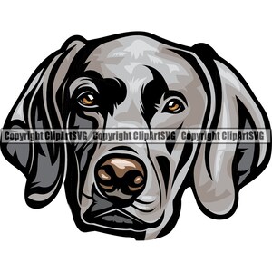Weimaraner Hunderasse Lächelnd Welpe Tier Haustier Glücklicher Jagdhund Stammbaum Reinrassig Eckzahn Niedlich Vizsla Art Kunstwerk Logo JPG PNG SVG Clipart Vektor