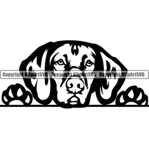 Vizsla #18 Raza de perro asomando Pedigrí Canino Pura raza K-9 Perro de mascota Animal Braco de Weimar Diseño Logo.SVG .PNG Clipart Vector Cricut Corte Corte
