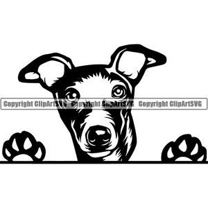 Levriero #13 che sbircia zampe razza di cane pedigree canino di razza K-9 animale domestico segugio animale da corsa logo. SVG. PNG Clipart vettoriale Cricut taglio taglio