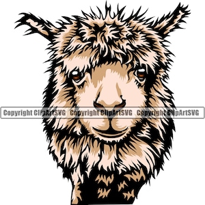 Alpaca Lama hoofd gezicht huisdier vee ras fokker boerderij vlees voedsel wol vee ontwerp logo SVG PNG clipart vector knippen snijden