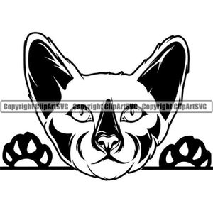 Siamois #3 furtivement chat race mignon chaton Kitty félin Pedigree pure race Bloodline Animal Pet Design Logo. SVG. PNG vectoriel Cricut coupe coupe