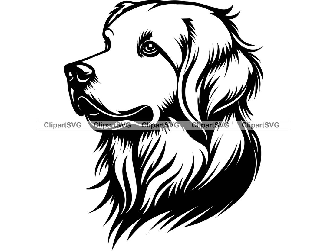 Golden Retriever Smiling Dog Cute Puppy Face Canine Breed Pet Labrador