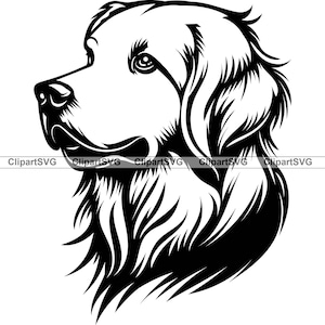 Golden Retriever Cane sorridente Cucciolo carino Faccia Razza canina Animale domestico Labrador Ritratto Zampa Stampa Cartoon Disegno Arte Logo Tattoo Design SVG PNG Taglio