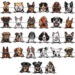 BUNDLE Dog Breeds Peeking Peek-A-Boo Puppy Pup Canine Pedigree Purebred Bloodline Pet Logo Design SVG PNG Clipart Vector Cricut Cut Cutting