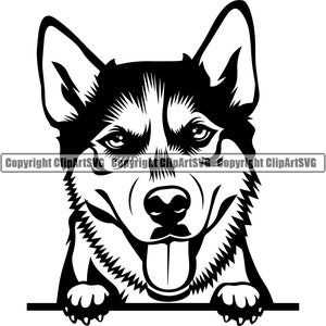 Siberian Husky Hunderasse Spähen Peek-A-Boo Happy Puppy Welpe Haustier Clip Art K-9 Akita Shiba Inu Logo SVG PNG Clipart Vektor Cricut Cut Cutting