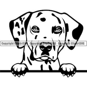 Dalmatian Dog Peeking Peek-A-Boo Breed Smiling Paw Puppy Pup Pet K9 Fireman Firefighter Firefighting Logo SVG PNG Clipart Vector Cut Cutting