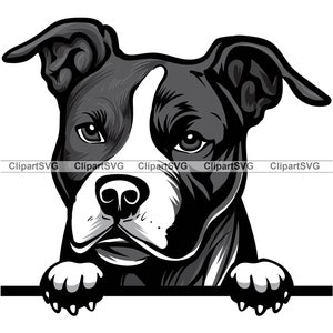 Zwarte Pit Bull Terrier Gluren Hond Schattige Puppy Hoofd Honds Huisdier Amerikaanse Pitbull Blauwe Neus Liefde Paw Tekening Art Logo Tattoo Design SVG PNG Cut