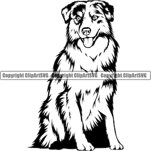 Könnte beinhalten: Schwarz-weiß-Linienzeichnung eines Australian Shepherds, der mit herausgestreckter Zunge sitzt.