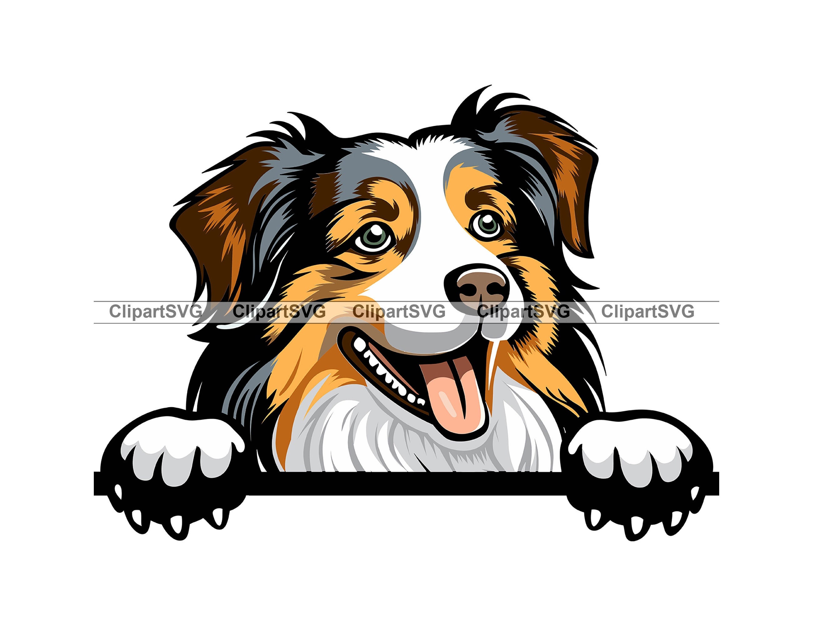 Australian Shepherd Smiling Peeking Dog Head Puppy Face Canine Etsy