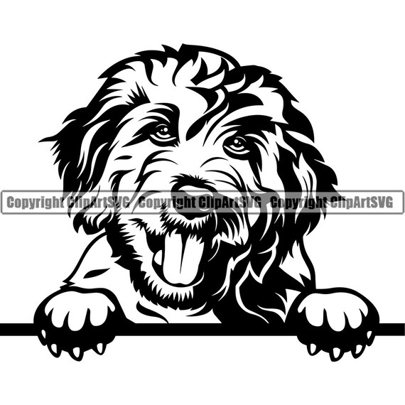Goldendoodle Dog Breed Peeking Peek A Boo Puppy Pup Pet Etsy