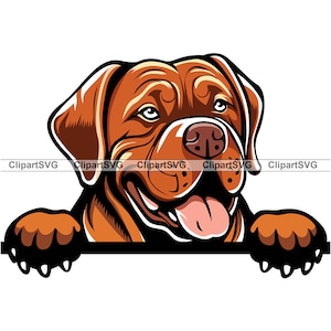 Bordeauxdog glimlachend gluren hond schattige puppy hoofd hond huisdier Bullmastiff dierlijke poot portret tekening kunst logo tattoo ontwerp SVG PNG knippen