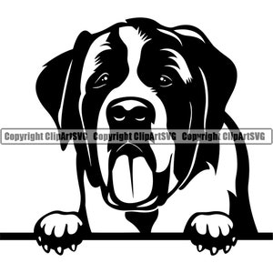Bernhardiner Spähen Peek-A-Boo Rasse Welpe Welpe Pet Art Berner Berge Größere Schweizer Berge Logo SVG PNG Clipart Vektor Schneiden Schneiden