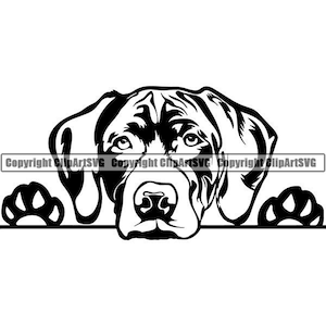 May include: Black and white illustration of a dog peeking over a surface with its paw raised. The dog has a short, smooth coat and large, floppy ears.