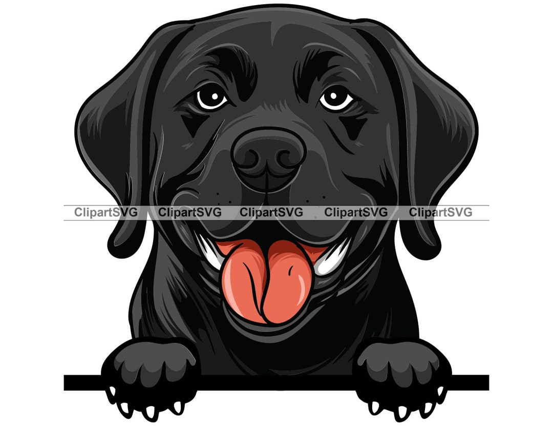 Black Labrador Retriever Smiling Peeking Dog Puppy Face Canine Pet