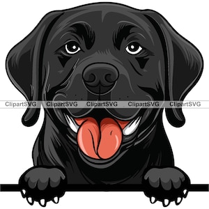 Black Labrador Retriever Smiling Peeking Dog Puppy Face Canine Pet Portrait Lab Cartoon Drawing Art Logo Tattoo Design SVG PNG Cut Cutting