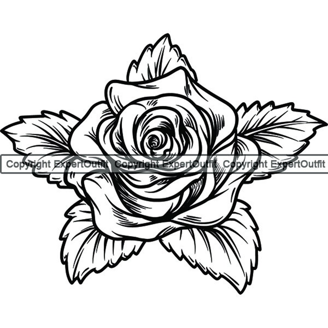 Long Stem Rose Petal Love Flower Bouquet Thorn Nature Garden Tattoo Floral  Blossom Holiday Logo.SVG.PNG Clipart Vector Cricut Cut Cutting