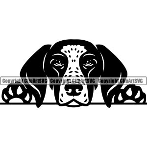 Englischer Pointer Hunderasse Spähen Peek-A-Boo Welpe Welpe Haustier Kunst Deutsch Kurzhaar Weimaraner Vizsla Logo SVG PNG Clipart Vektor Schneiden Schneiden