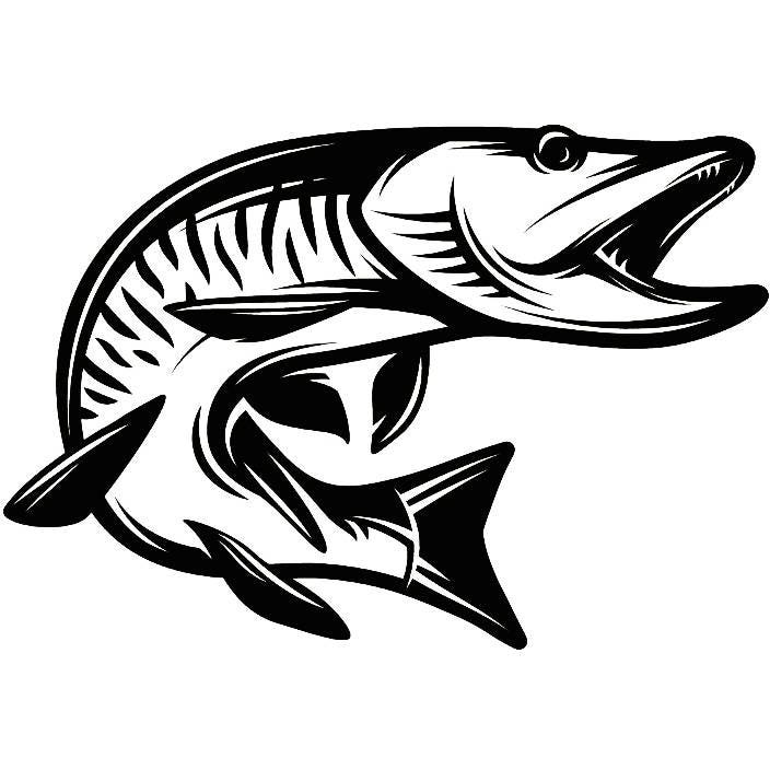 Download Musky Fishing 2 Fresh Water Hunting Fish Competition | Etsy
