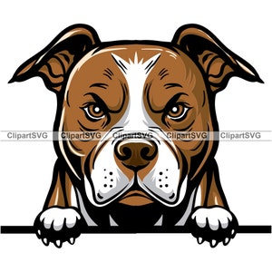 Bruine Pit Bull Terriër gluren hond gemiddelde gezicht Puppy Canine huisdier Amerikaanse Pitbull rode neus ras tekening Art Logo Tattoo Design SVG PNG knippen