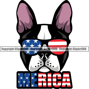 May include: A black and white French bulldog wearing red, white and blue sunglasses with stars and stripes. The text "MERICA" is below the dog, also in red, white and blue.