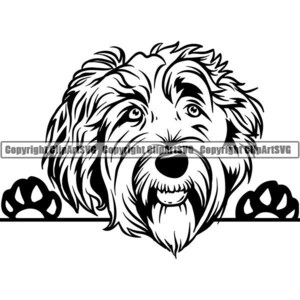 Labradoodle #5 Spähender Hund Lächelnd Glücklich Rasse Welpe K-9 Stammbaum Reinrassige Blutlinie Tier Haustier Logo .SVG .PNG Vektor Cricut Cut Cutting