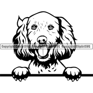 Labradoodle Dog Breed Peeking Peek-A-Boo Happy Puppy Pup Pet Pedigree K-9 Art Labrador Poodle Logo SVG PNG Clipart Vector Cricut Cut Cutting