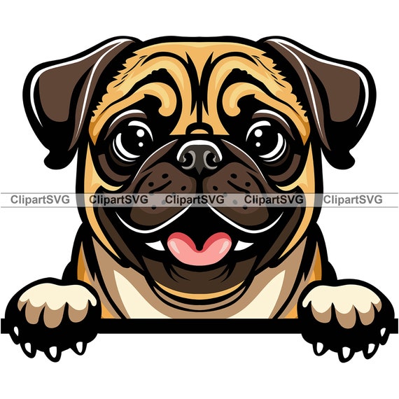 Pug Smiling Peeking Dog Cute Puppy Happy Head Canine Pet Love