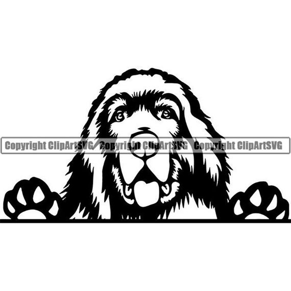 Download Newfoundland 6 Peeking Smiling Dog Breed Puppy Pedigree Etsy 3D SVG Files Ideas | SVG, Paper Crafts, SVG File