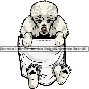 Poodle Dog Breed Paw Hanging Shirt Pocket Puppy Pup Pet Art Silhouette Design Element Logo SVG PNG Clipart Vector Cricut Cut Cutting File