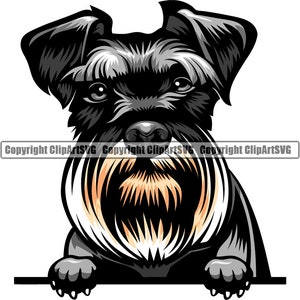 Schnauzer Hond Gluren Peek-A-Boo Ras Glimlachend Puppy Dier Huisdier Gelukkig Canine Schattig Miniatuur Giant Art Artwork LogoJPG PNG SVG Clipart Vector