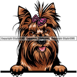 Yorkshire Terrier Yorkie Dog Peeking Peek-A-Boo Breed Happy Face Puppy Animal Pet Color Artwork Chihuahua Design Logo PNG SVG Clipart Vector