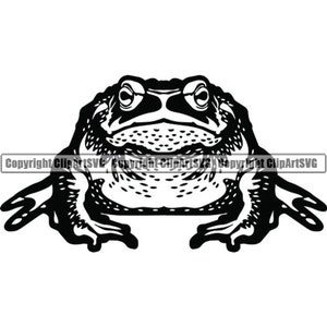 Frog #3 Pet Animal Nature Wild Wildlife Amphibian Tropical Toad Exotic Tree Jungle Poisonous Logo.SVG .PNG Clipart Vector Cricut Cut Cutting