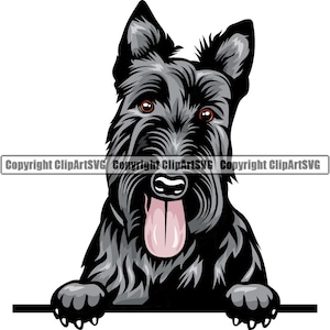 Schotse Terriër hond gluren Peek-A-Boo ras glimlachend puppy dier huisdier gelukkig Canine Schnauzer kunst artwork logo JPG PNG SVG clipart vector