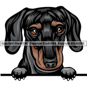Dachshund Dog Breed Peeking Peek-A-Boo Happy Face Puppy Animal Pet Color Artwork Hound Wiener Hot Dog Design Logo PNG SVG Clipart Vector