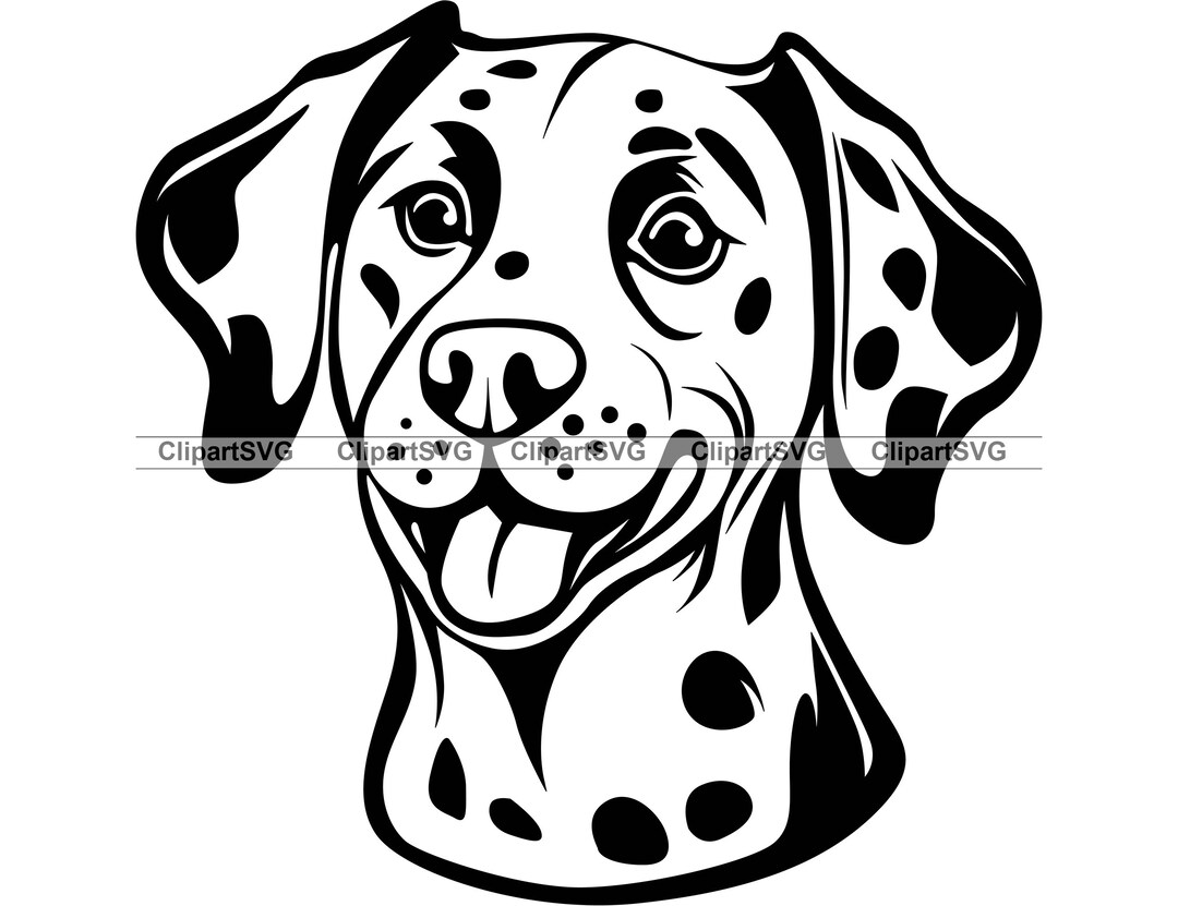 Dalmatian Smiling Dog Head Puppy Face Canine Breed Animal Pet Portrait ...