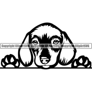 Dachshund #39 Peeking Dog Breed Wire Smooth Long Haired K-9 Animal Pet Hound Puppy Hot Logo .SVG .EPS .PNG Clipart Vector Cricut Cut Cutting