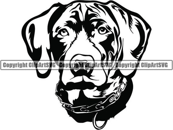 Download German Shorthaired Pointer 8 Dog Breed K 9 Pet Animal Hunting Etsy PSD Mockup Templates