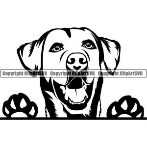 May include: Black and white silhouette of a Labrador Retriever dog peeking over a surface with its paws visible. The dog is smiling with its tongue out.