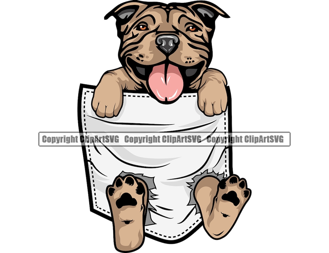 American Pit Bull Terrier Adorable Dog in Shirt Pocket Paws Puppy Pet ...