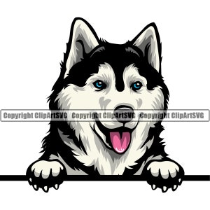 Race de chien Husky sibérien Peeking Peek-A-Boo chiot K-9 Animal Pet Pedigree Art Eskimo Alaskan Malamute Logo JPG PNG SVG Clipart Vector Cut