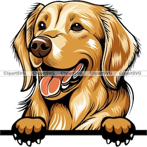 Golden Retriever Sorrindo Espiando Cão Cachorro Cabeça Canino Animal De Estimação Labrador Retrato Pata Desenho Animado Arte Logotipo Tatuagem Design SVG PNG Corte Corte