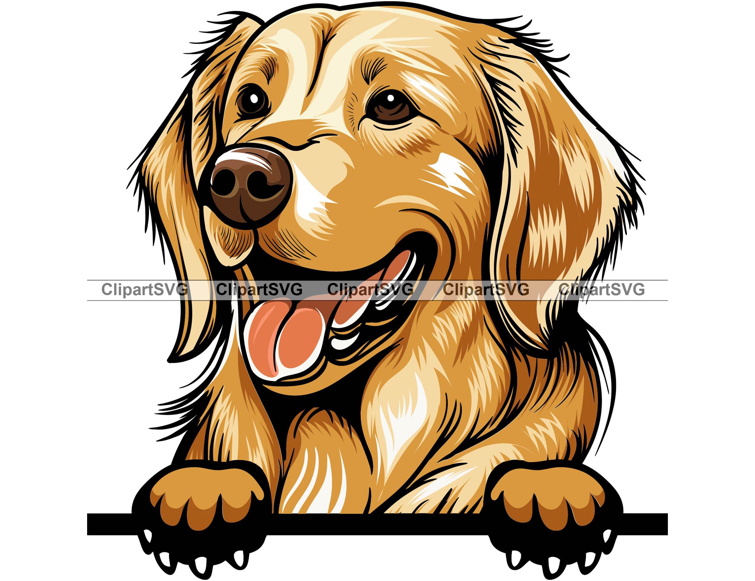 Golden Retriever Smiling Peeking Dog Puppy Head Canine Pet