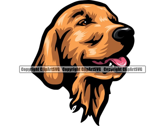Golden Retriever Dog Breed Happy Face Puppy Animal Pet Pedigree