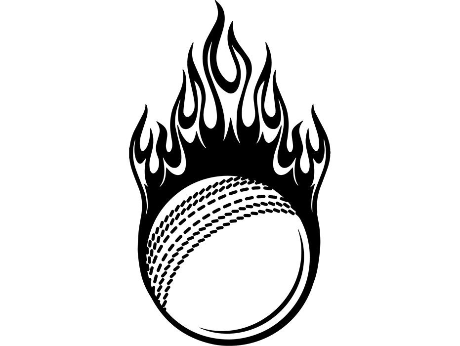 Cricket Logo 25 Ball Fire Flames Batsman Bat Field Sports | Etsy