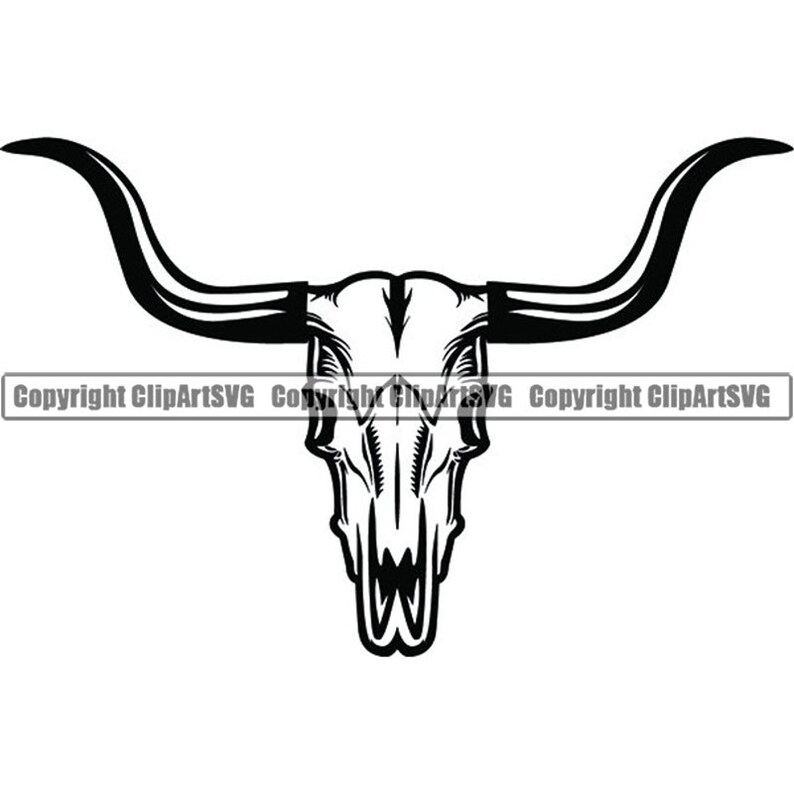 Bull Skull 3 Skeleton Bones Horn Longhorn Cowboy Country Etsy