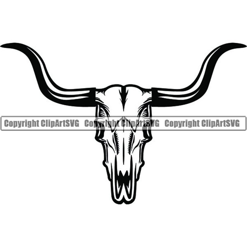 Bull Skull 3 Skeleton Bones Horn Longhorn Cowboy Country Etsy