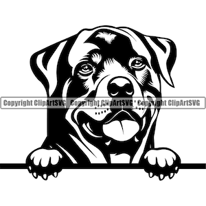 Rottweiler Dog Breed Peeking Peek-A-Boo Pet Canine Pedigree Puppy Purebred Hound Rotty K9 Art Design Logo SVG PNG Clipart Vector Cut Cutting